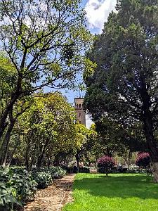 Kunming - Universite du Yunnan (42)